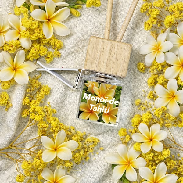 Diffuseur de Voiture Monoï