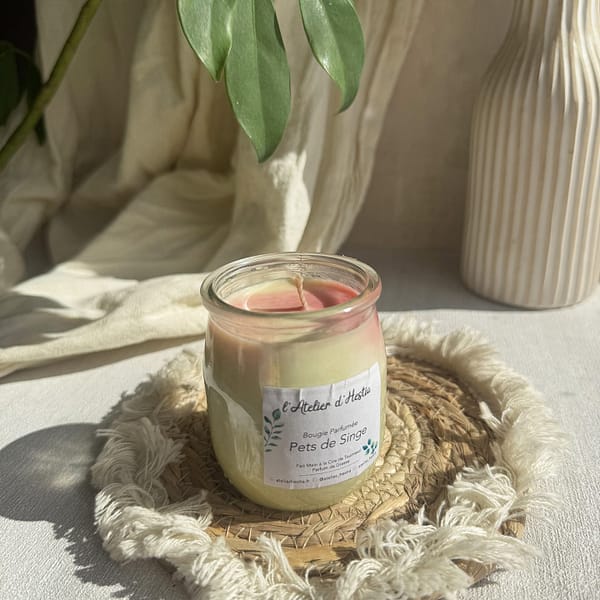 Bougie Pets de Singe